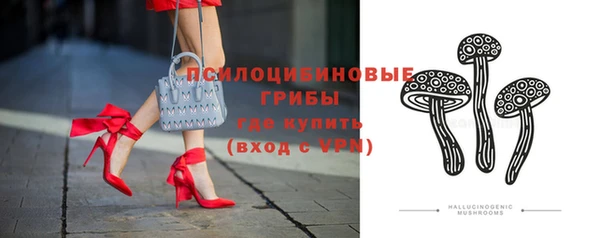 стафф Бронницы