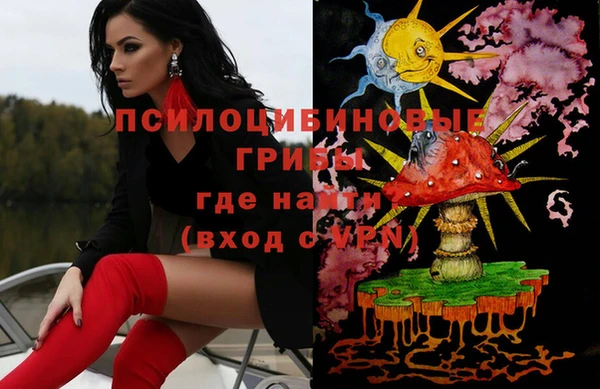 стафф Бронницы