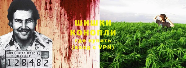 стафф Бронницы