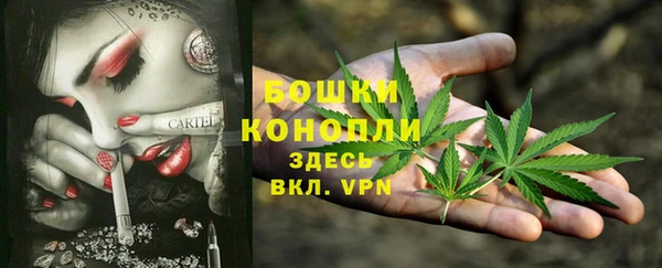 стафф Бронницы