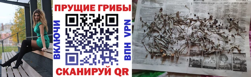 Псилоцибиновые грибы GOLDEN TEACHER  Валдай 