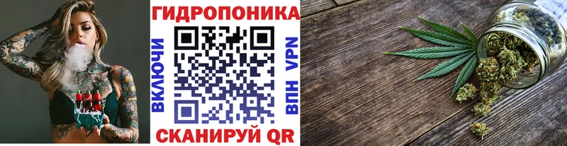 кракен как войти  Валдай  Бошки марихуана SATIVA & INDICA  дарнет шоп 